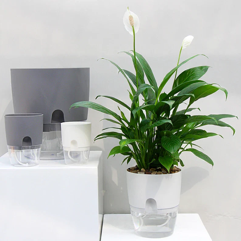 3_12ee1e54-906b-458d-8354-fa15ef9d4f8e.png Simulated Flame Aromatherapy Diffuser and Air Humidifier with Timer - Image 1