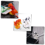 Indestructible Treat-Dispensing Chew Toy for Dogs - Image 8