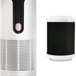 Portable Mini Air Purifier & Odor Eliminator for Home and Car