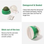 Odorless Cockroach Traps - Image 2