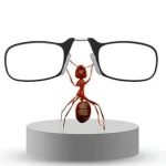 Folding Reading Glasses - Portable With Case - Image 4