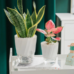 Simulated Flame Aromatherapy Diffuser and Air Humidifier with Timer - Image 4