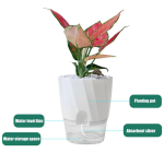 Simulated Flame Aromatherapy Diffuser and Air Humidifier with Timer - Image 6