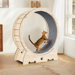 Interactive Bird Simulation Cat Toy Set
