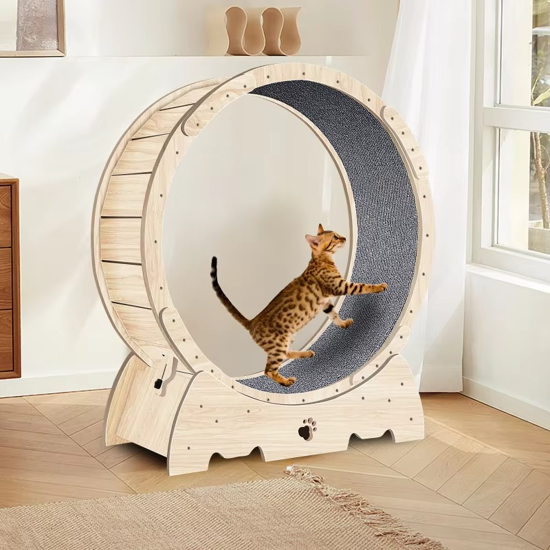 S0183003a42df49dc81e4f1a709fa0f8ae.png Interactive Bird Simulation Cat Toy Set - Image 1
