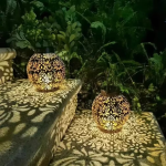 Pet Ball (Special Edition) - Image 3