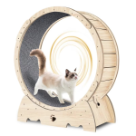 Interactive Bird Simulation Cat Toy Set - Image 5