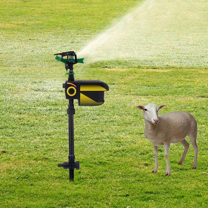 automatic-motion-activated-animal-repellent-garden-sprinkler-animal-sensor-outdoor-lawn-yard-water-sprinkler-105407_700x700_599d43cb-16e3-411a-8bb6-65346d9057d8.jpg Avocado Keeper - Freshness Extending Storage Container - Image 1