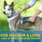 Poop Pickup Bag Holder - Image 4